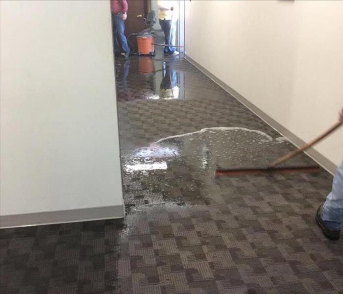 squeegees removing water from carpet