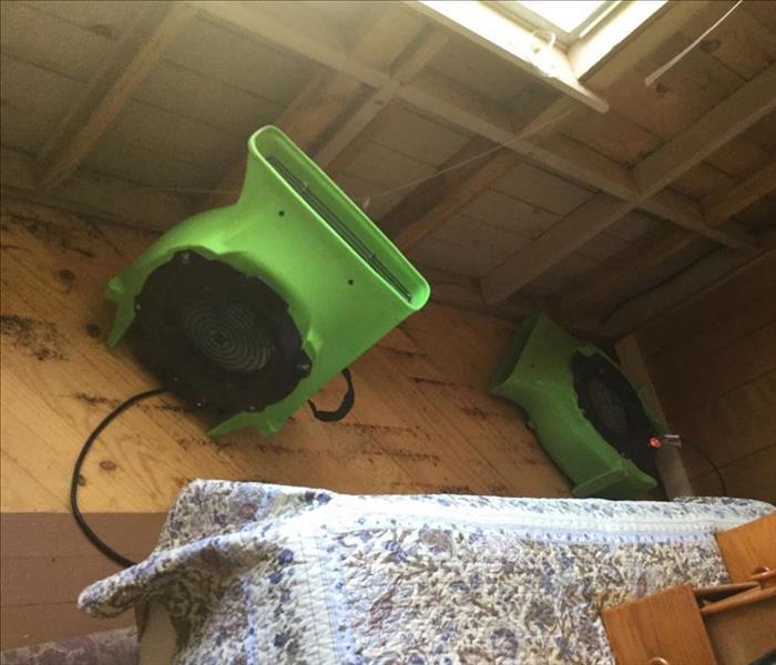 air movers drying bedroom